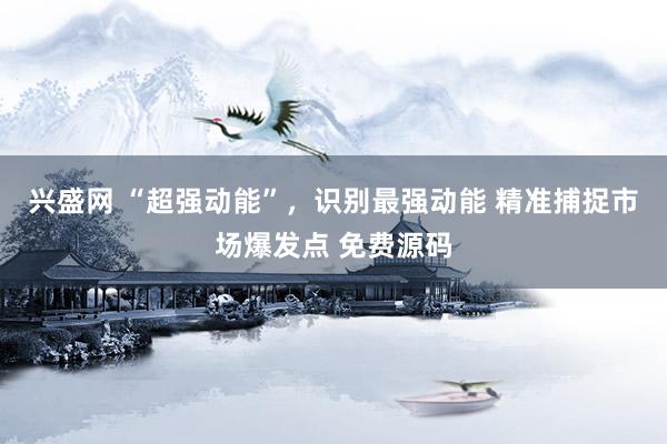 兴盛网 “超强动能”，识别最强动能 精准捕捉市场爆发点 免费源码