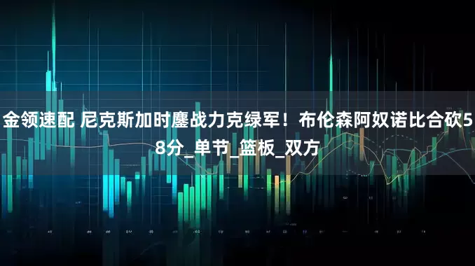 金领速配 尼克斯加时鏖战力克绿军！布伦森阿奴诺比合砍58分_单节_篮板_双方